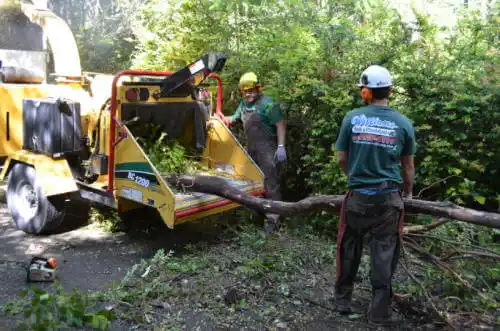 tree services West Bishop